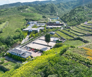 燕山深处藏“药谷”
