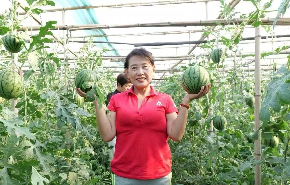 游客享受采摘乐趣。王洪胜摄
