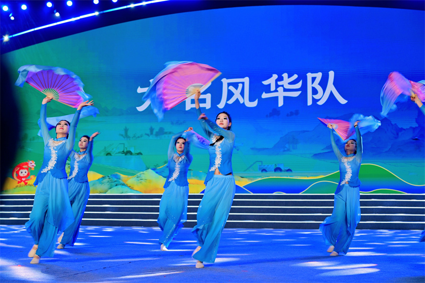 展演活动。大名县委宣传部供图