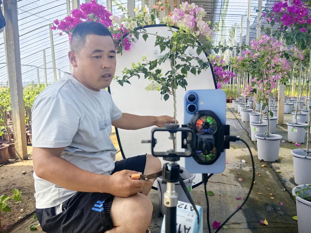 在河北省邯郸市大名县束馆镇刘辛庄村的花卉大棚内，新农人刘志明正在直播。谷聪聪摄