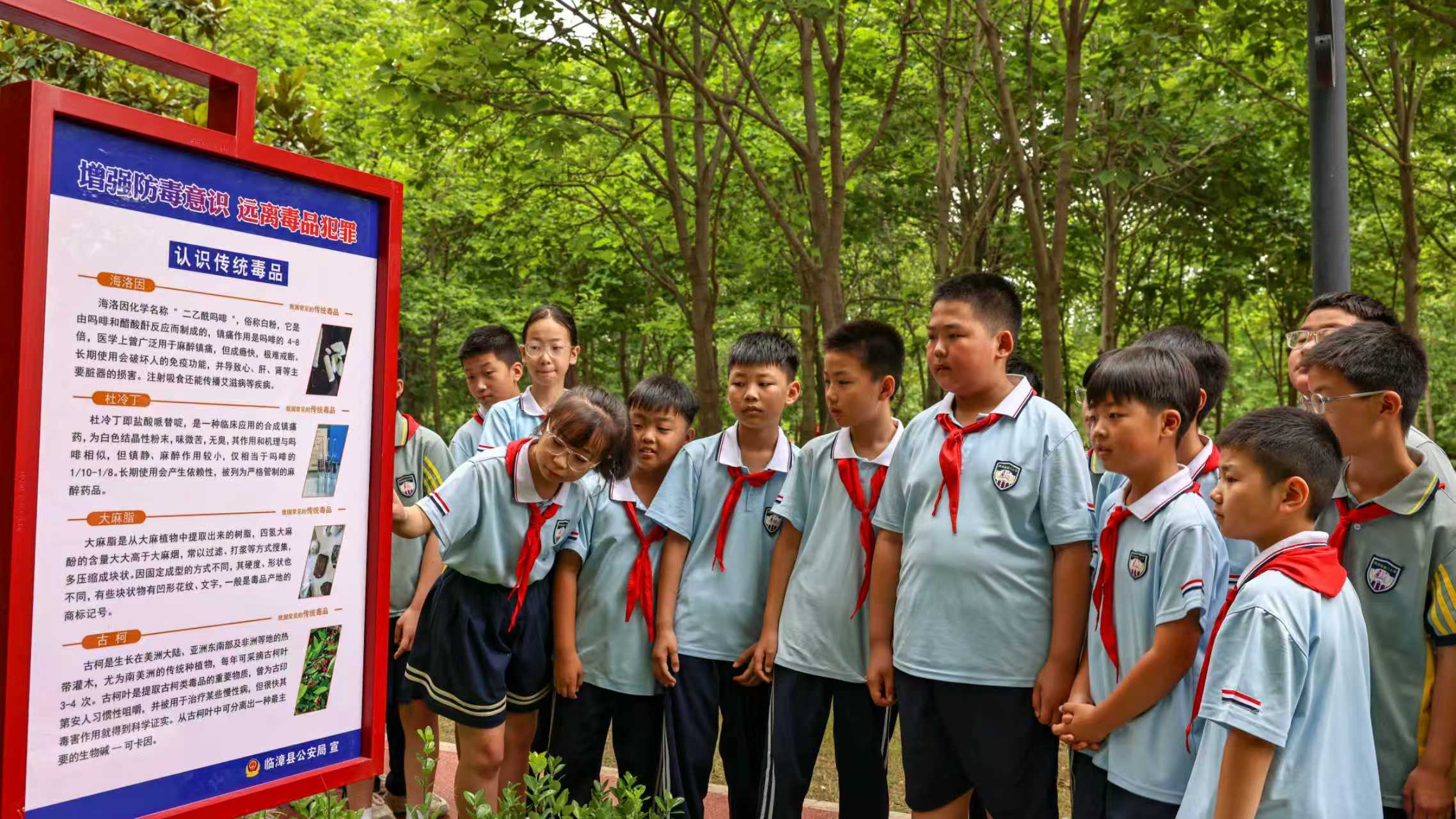 学生在了解认识毒品类型。邓博摄