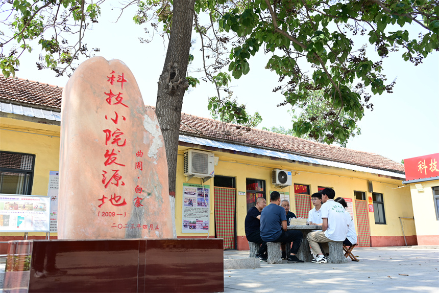 为河北曲周白寨科技小院。王喜民摄