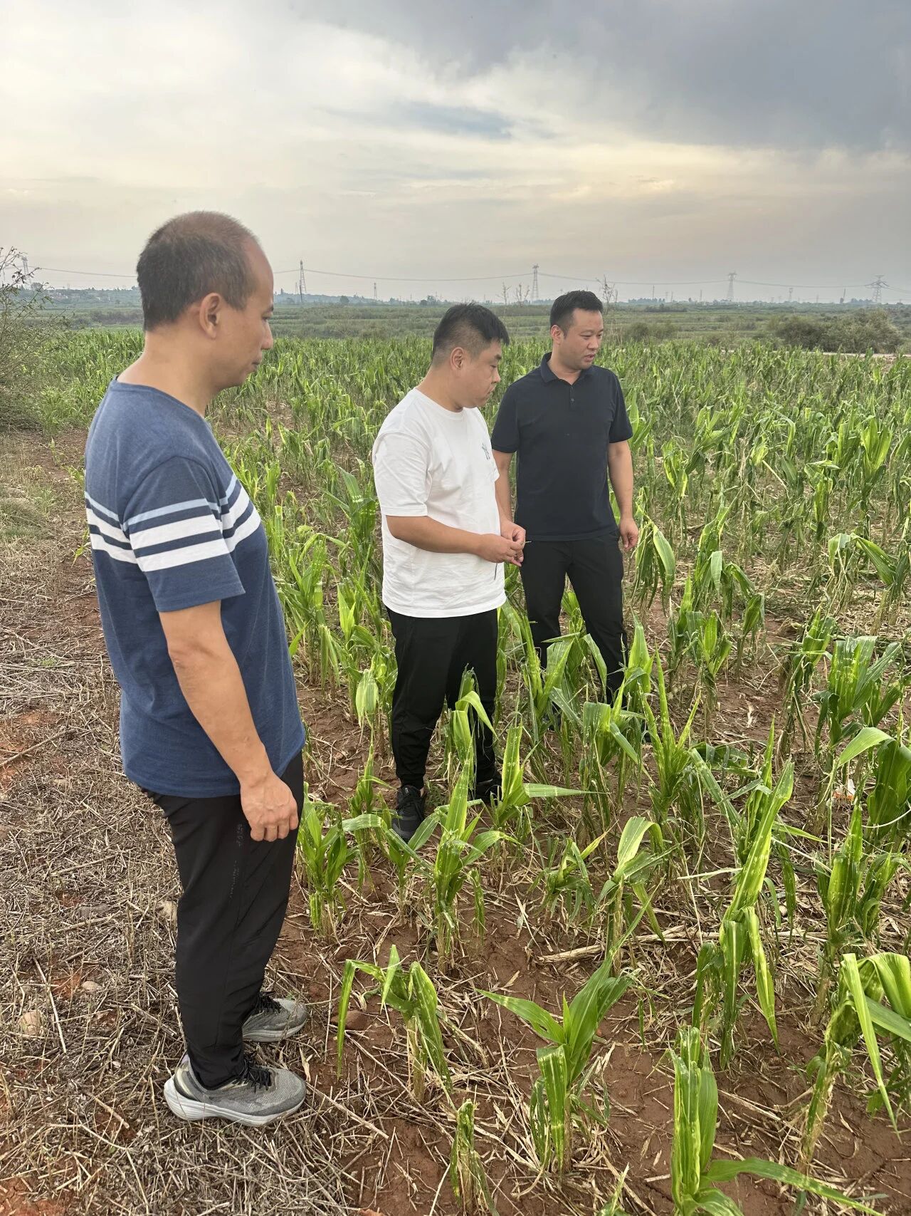 燕趙財險邯鄲中支查勘員在磁縣岳城鎮馬水澗村查勘受災情況。王鵬舉攝