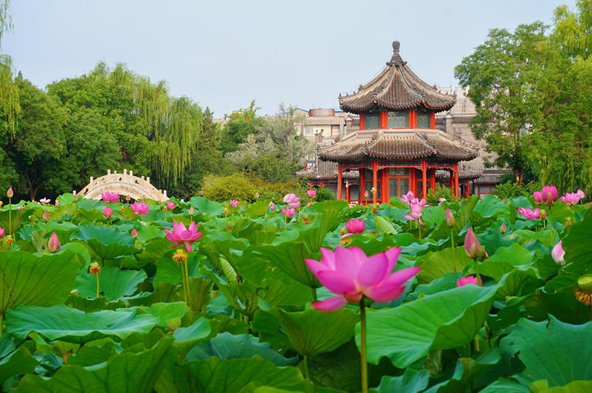 图片 7