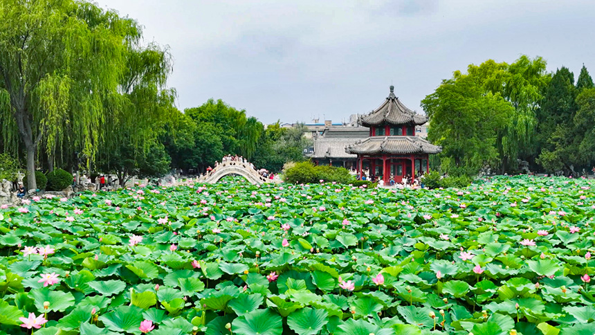 图片 1