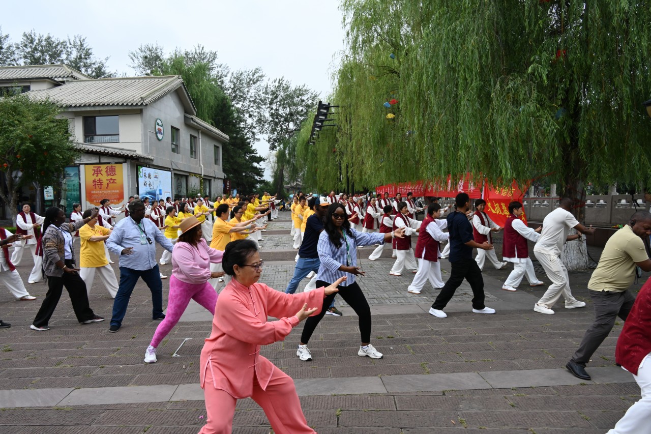 7月8日，外媒记者与晨练市民一同体验中国太极。刘尊栓摄