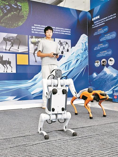 7月13日,創新港入駐企業工作人員在調試四足機器人。