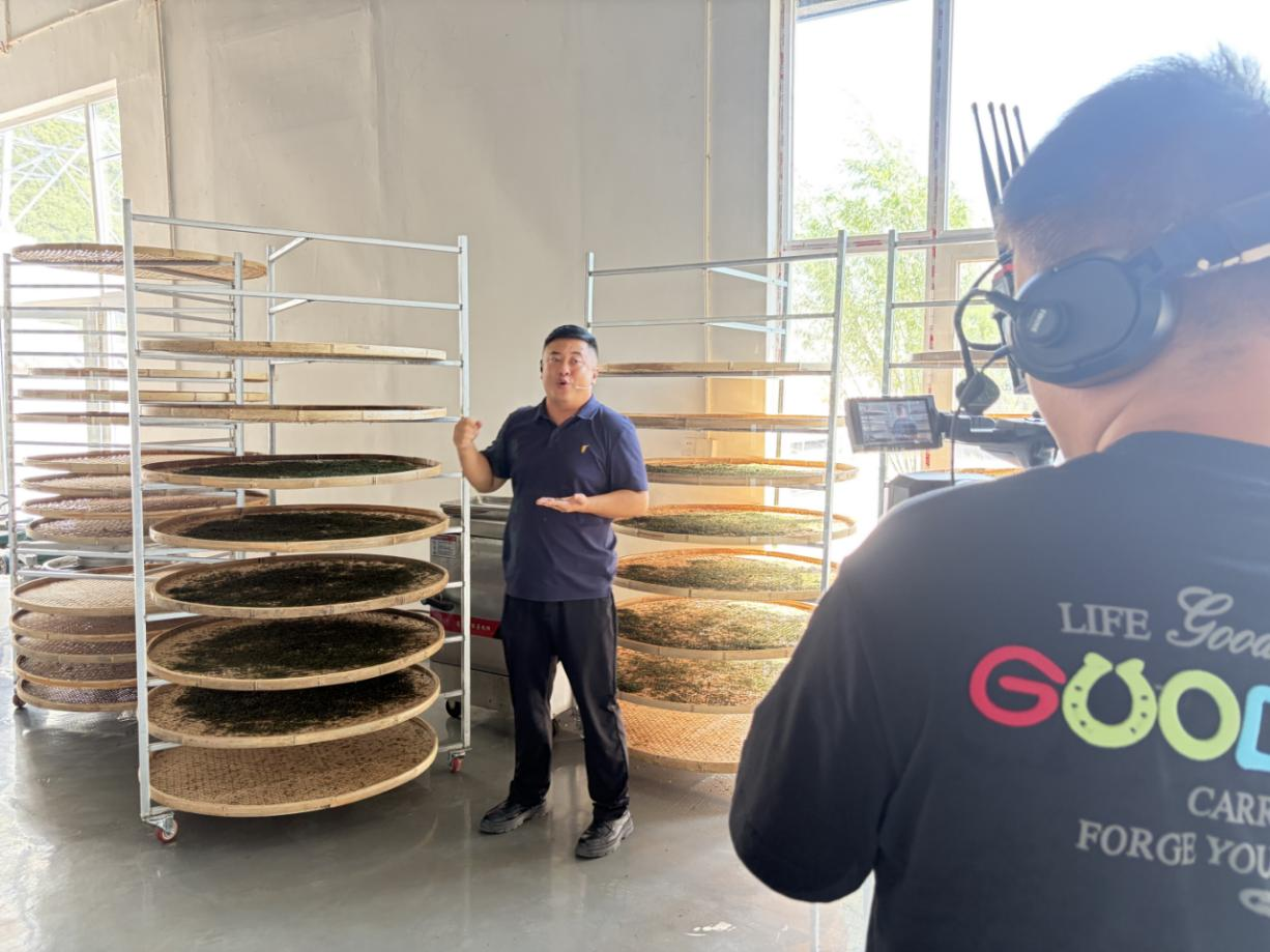 主播正在向观众展示茶叶加工车间。尹默摄