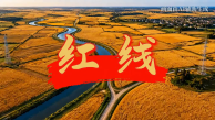 紅線