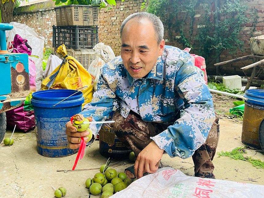 种植户张会鑫脸上洋溢着丰收的喜悦。贾晨阳摄