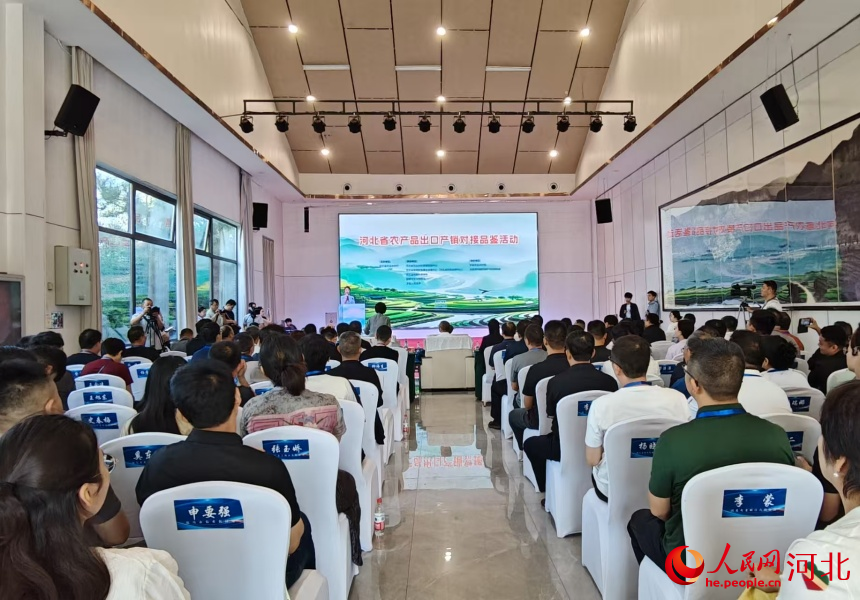 产销对接品鉴活动现场。人民网记者 杨文娟摄