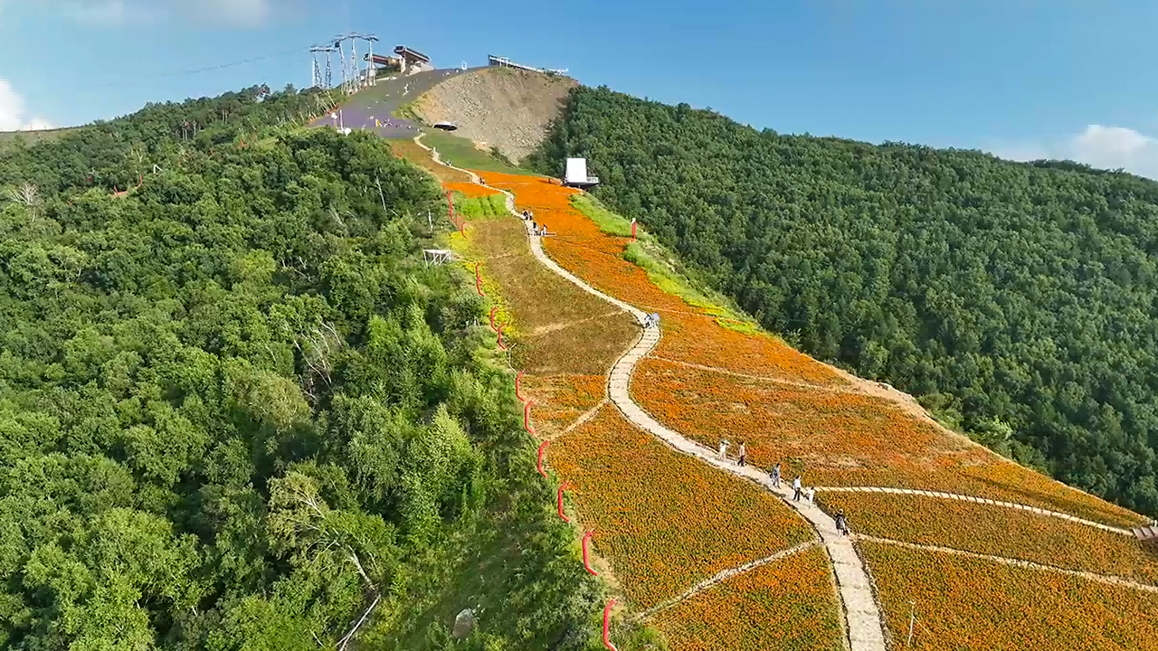 崇禮富龍四季小鎮景區山頂風光