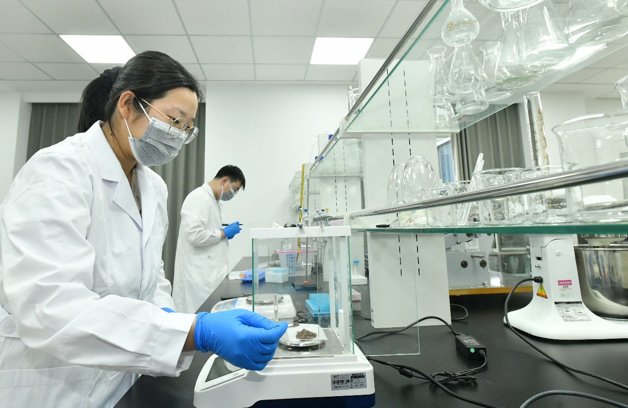 9月1日，技术人员在位于沧州高新区的中国农业科学院农产品加工与营养健康研究院（沧州）旱碱麦加工与制品创新研发中心实验室工作。苑立伟摄
