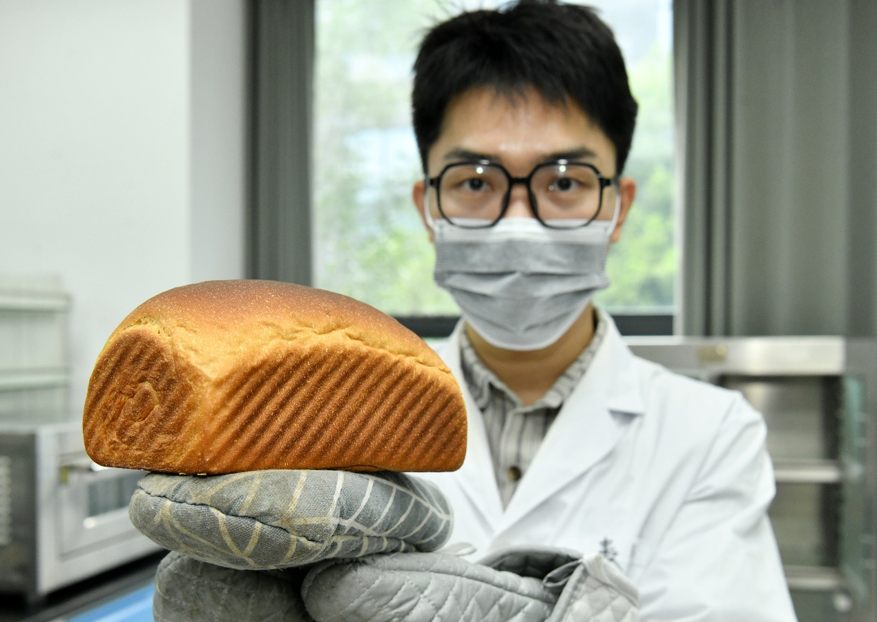 9月1日，在位于沧州高新区的中国农业科学院农产品加工与营养健康研究院（沧州），工作人员在展示旱碱麦相关烘焙制品。苑立伟摄