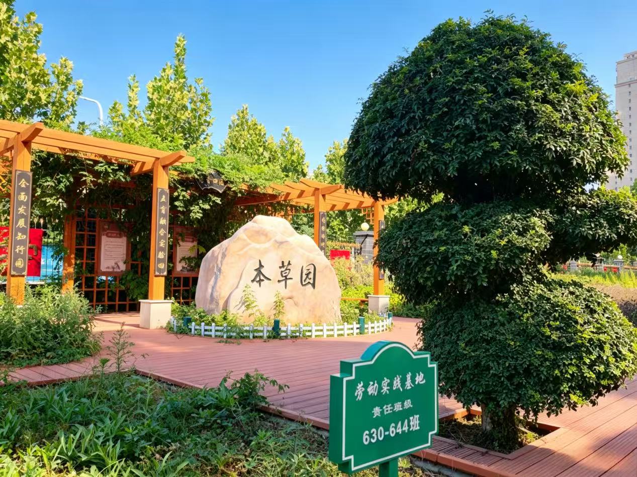 安国市实验中学本草园。安国市实验中学供图