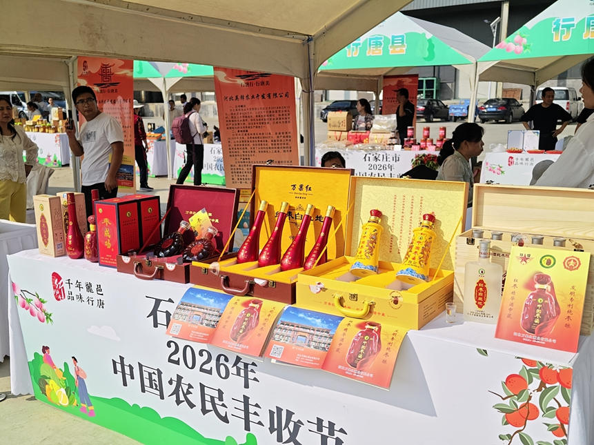 豐收節農產品展銷現場。石菲攝