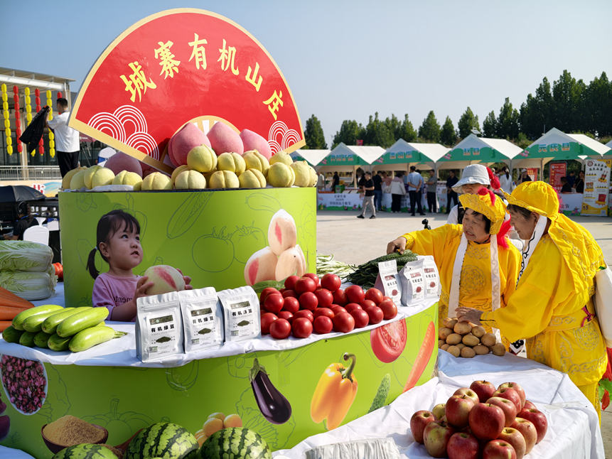 豐收節有機果蔬展台喜慶熱鬧。石菲攝