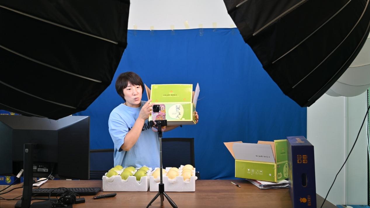 河北辛集:“致富果”甜蜜飘香(图1)