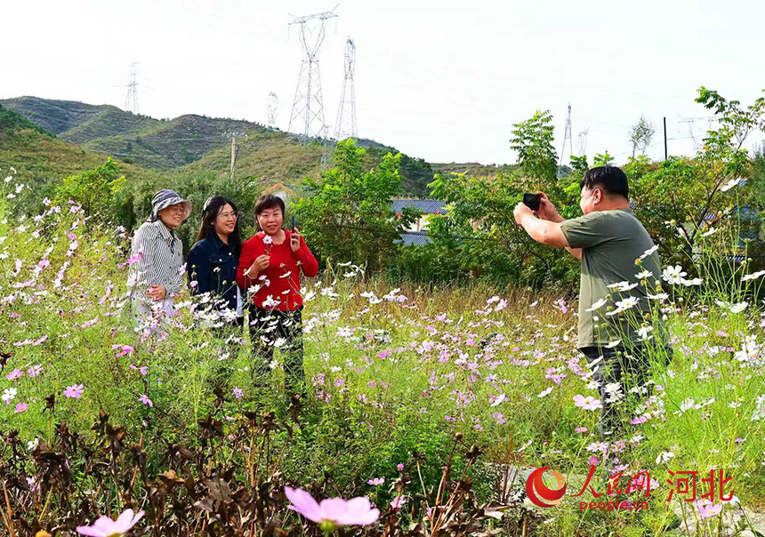 游客在花海拍照。人民网记者 李兆民摄