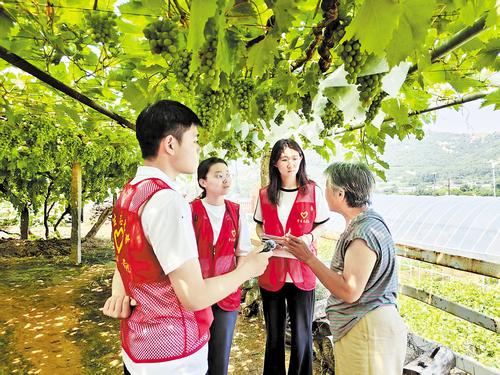 今年暑假，河北科技师范学院“葡香少年行”实践团在秦皇岛昌黎东山马庄村葡萄种植园内，与种植户交流。受访者供图