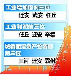范冰冰收入来源_河北村医收入来源(3)
